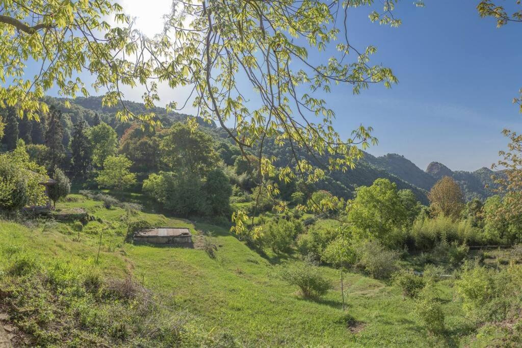 Casalini Estate