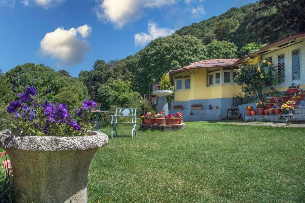 Casalini Estate