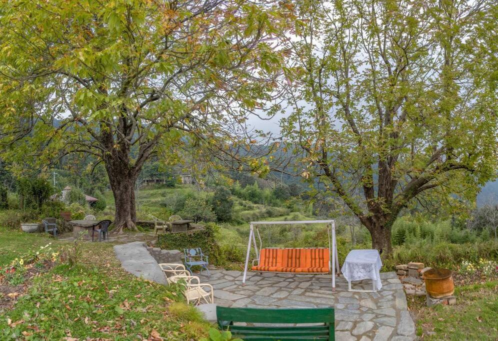 Casalini Estate