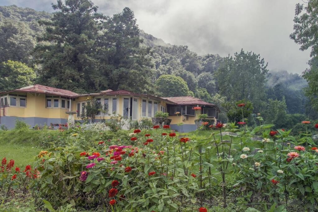 Casalini Estate