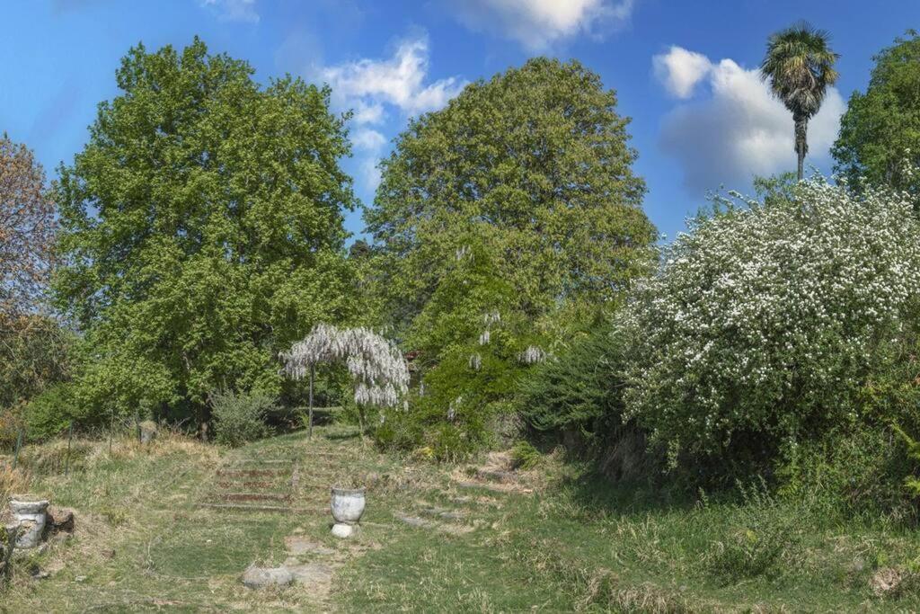 Casalini Estate