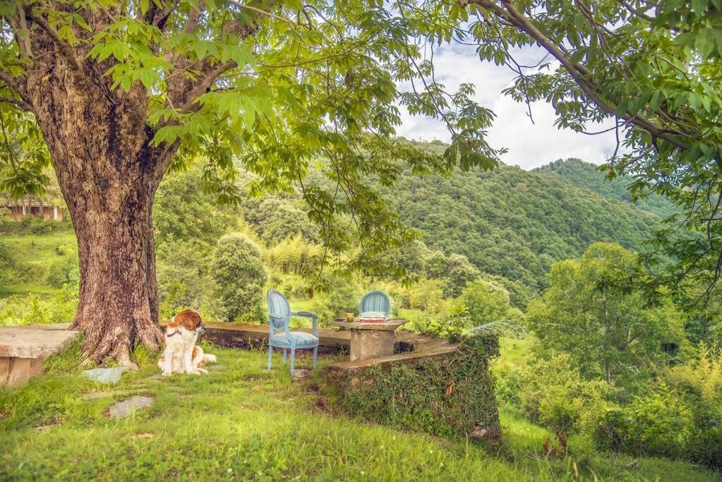 Casalini Estate