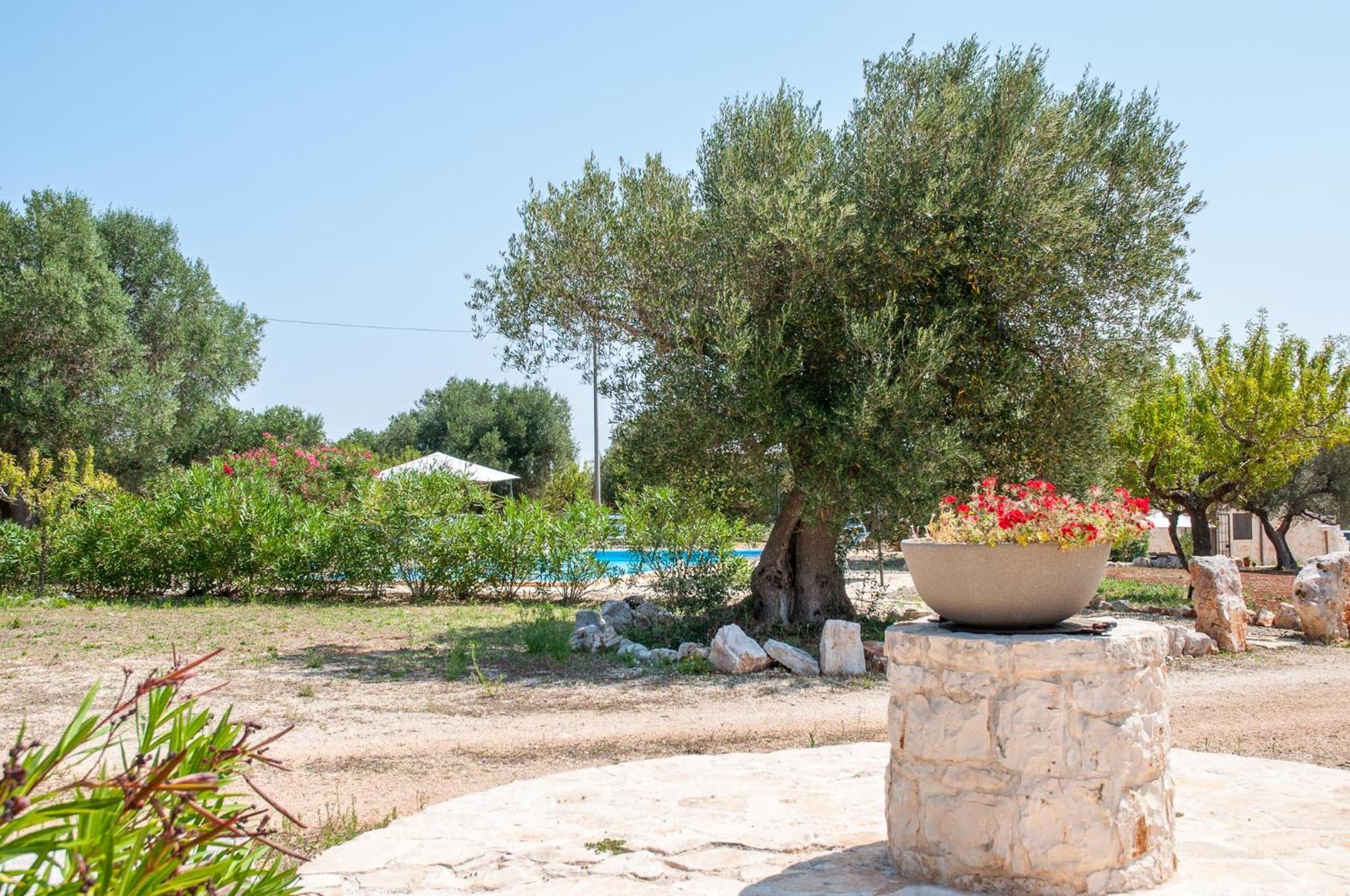 Trulli Acquario Gemelli Complex