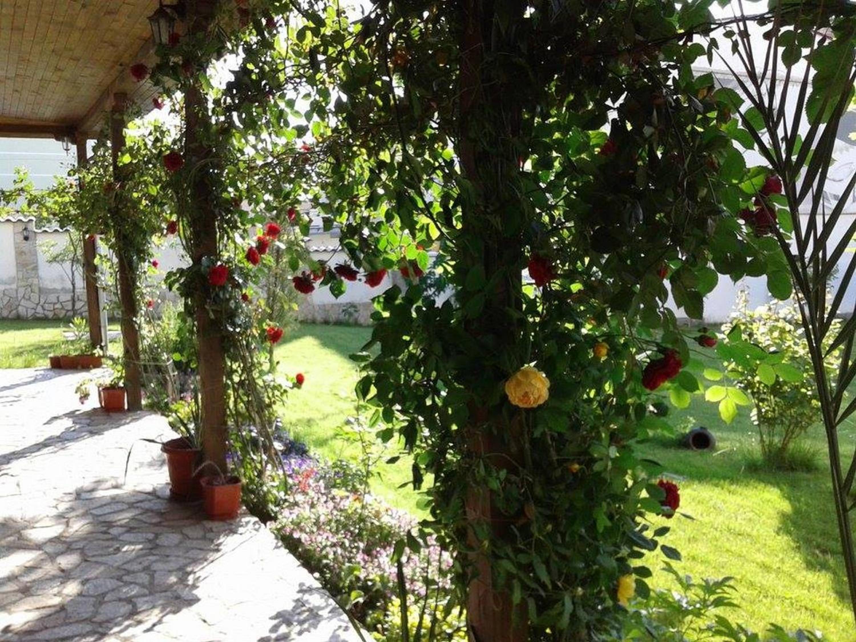 Todorovi Guest House
