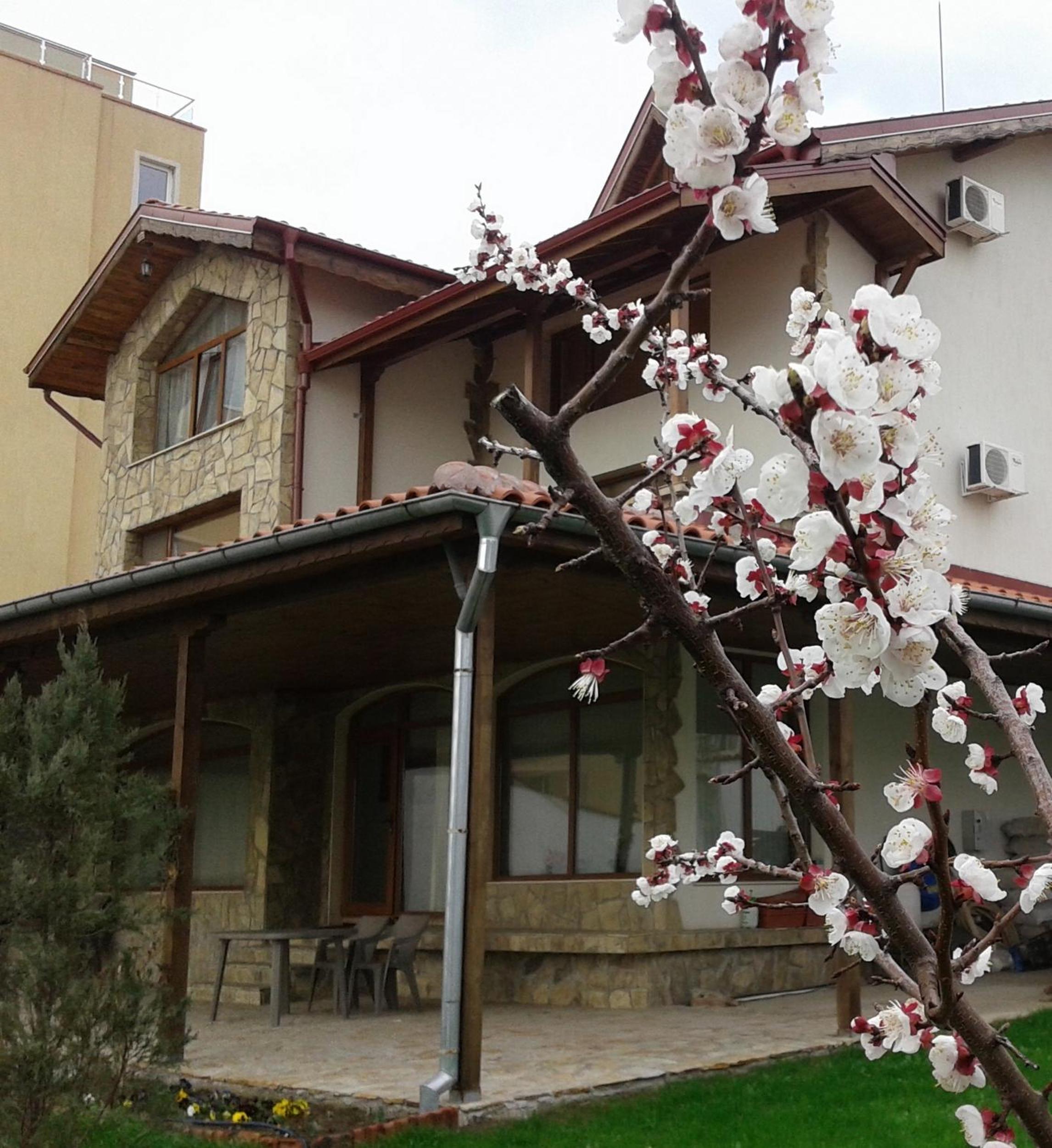 Todorovi Guest House