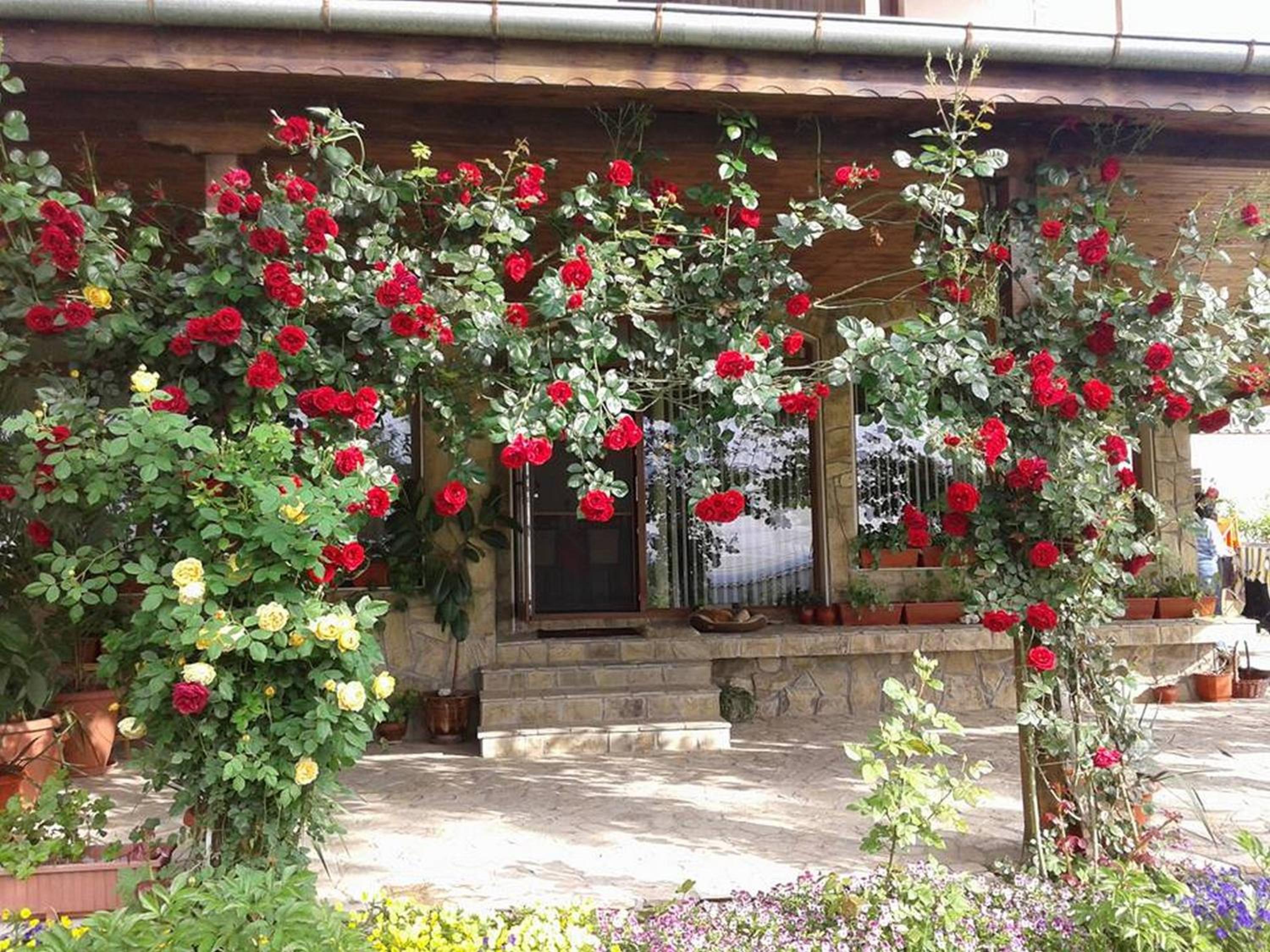 Todorovi Guest House