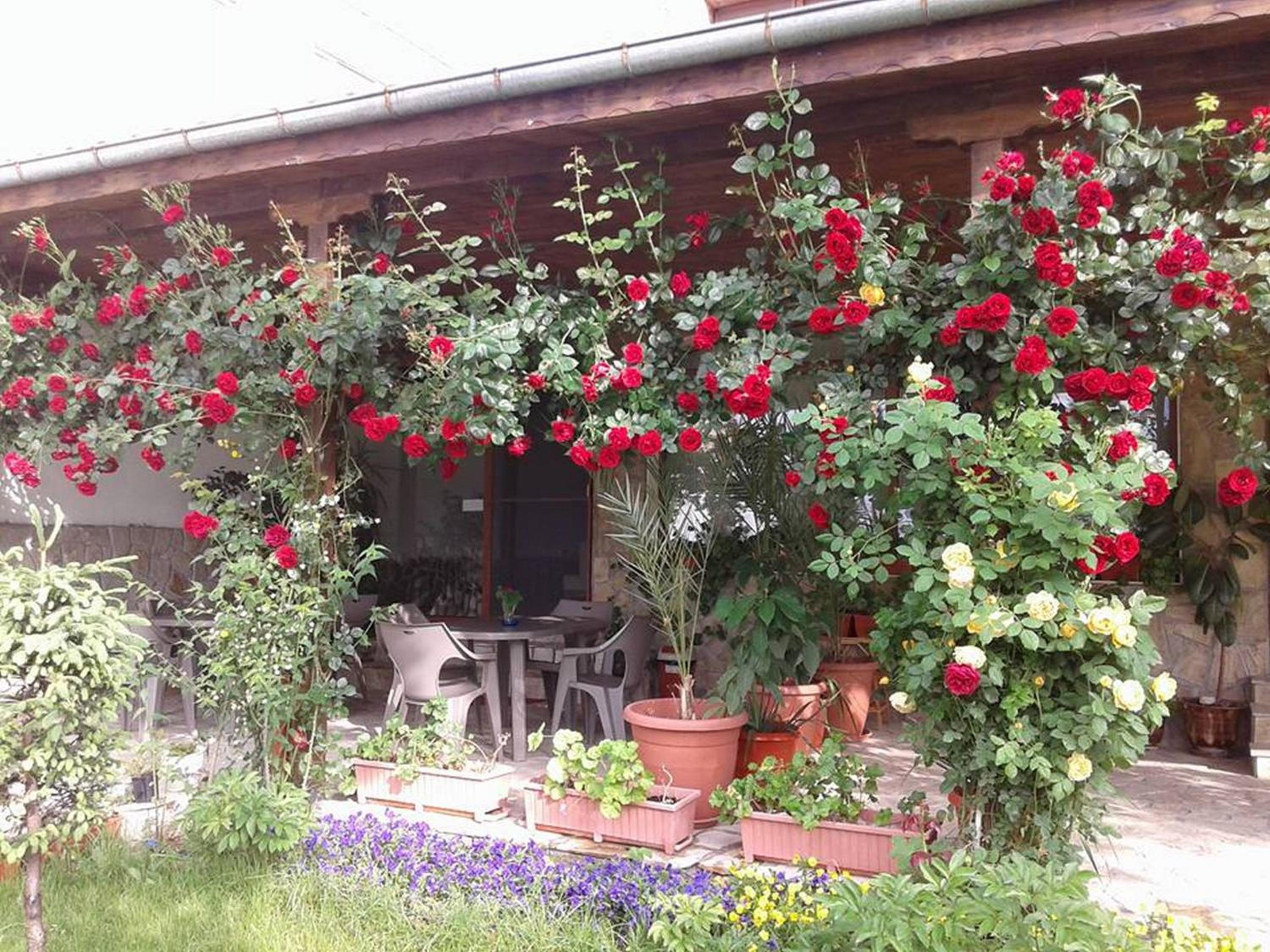 Todorovi Guest House