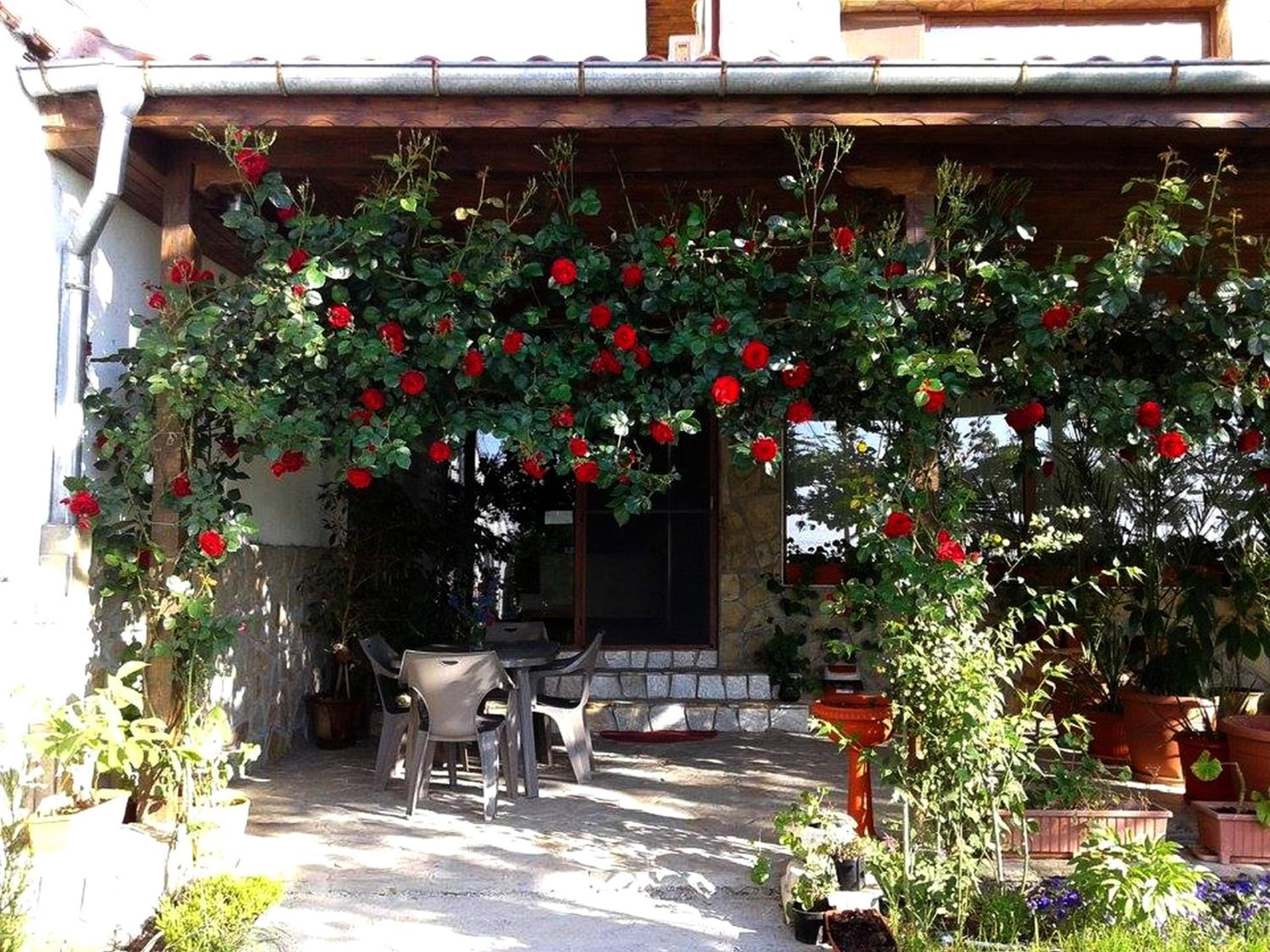 Todorovi Guest House