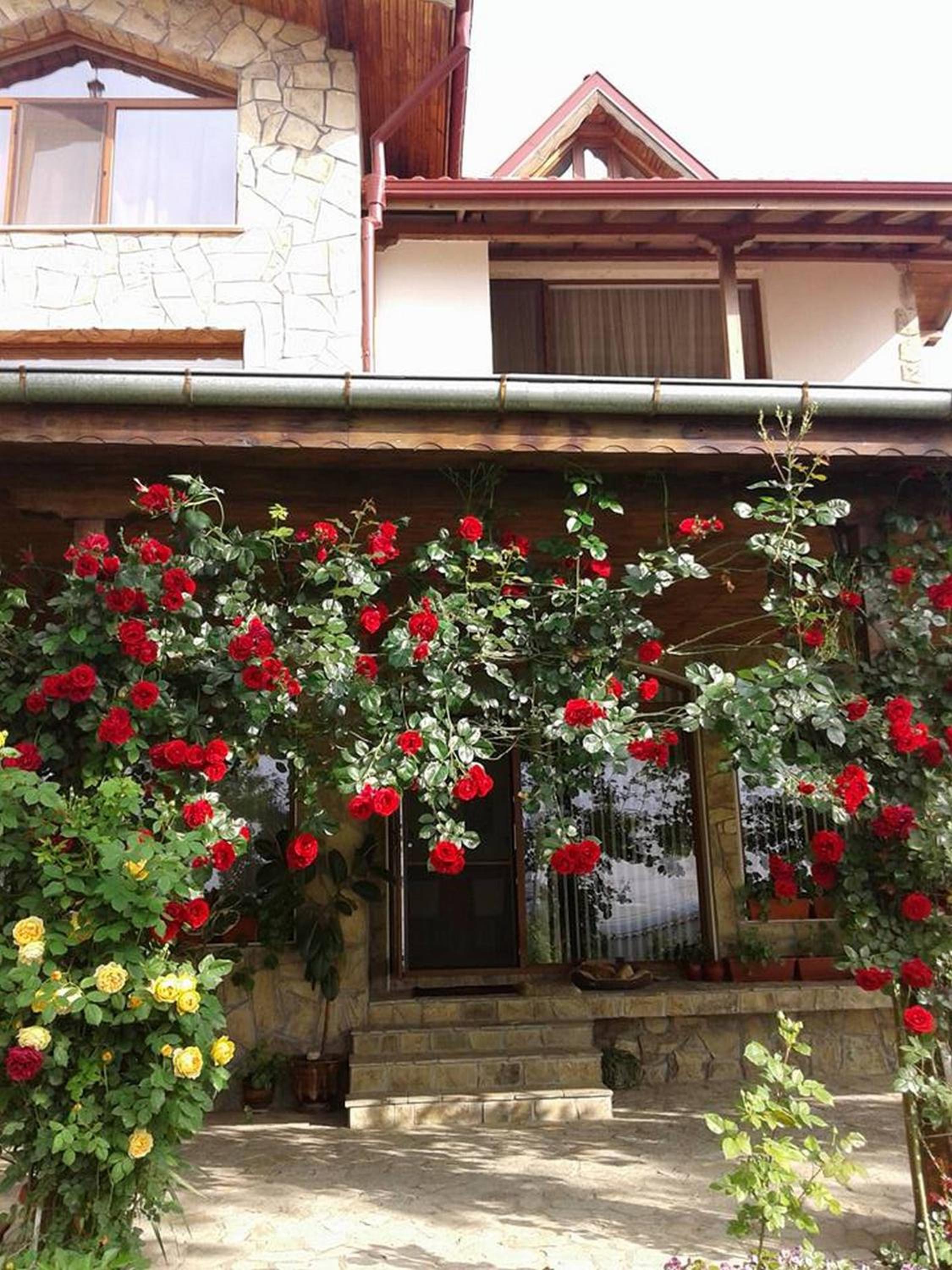 Todorovi Guest House