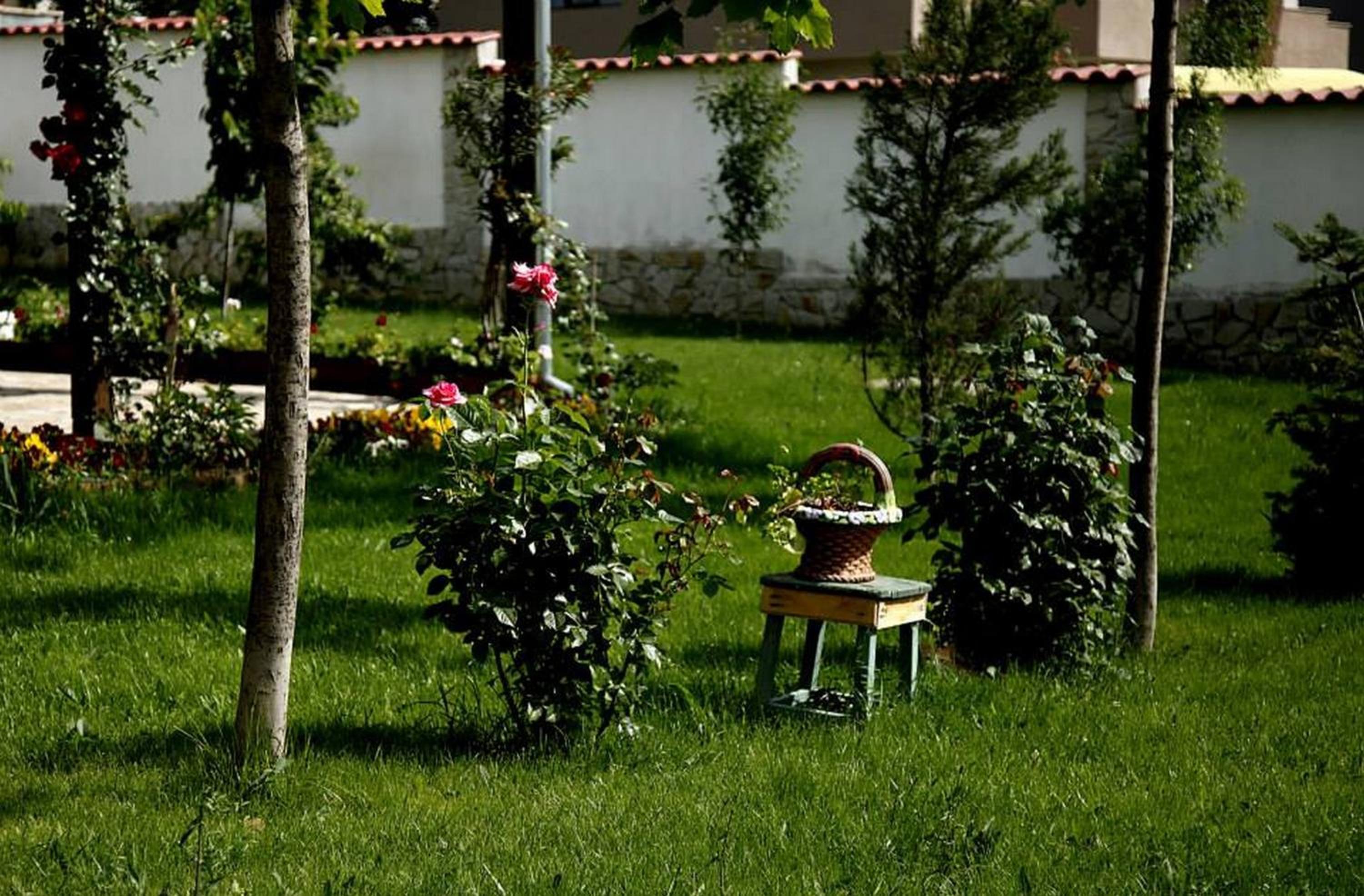 Todorovi Guest House