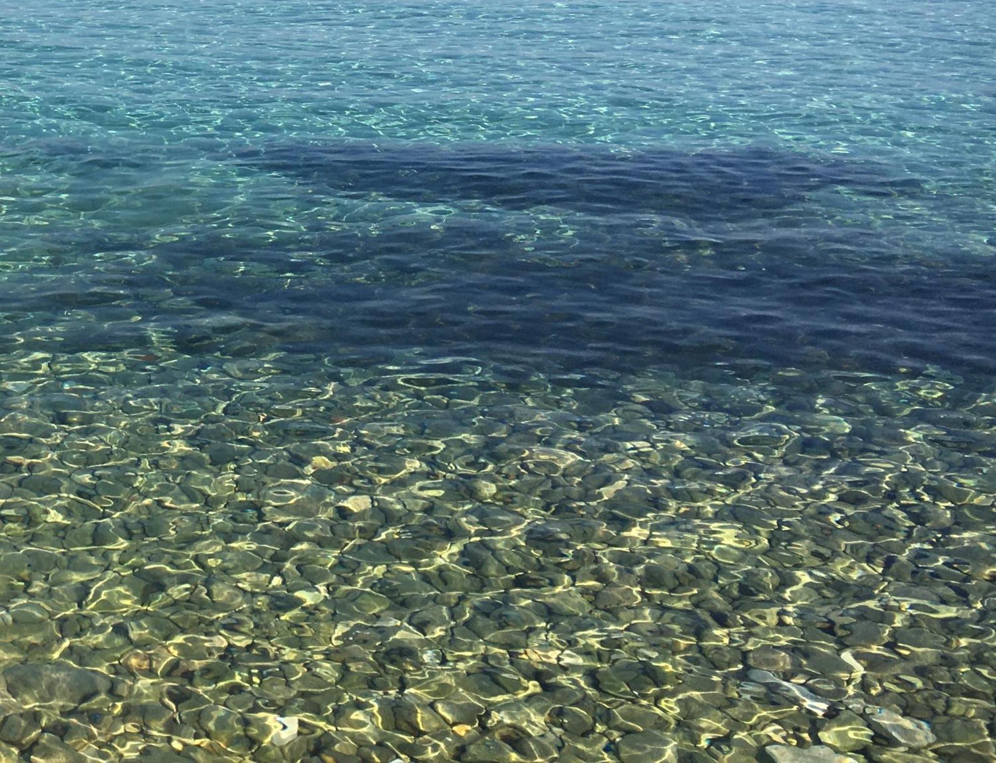 APARTMENT ŽUŽI Otok Silba Hrvatska view 3