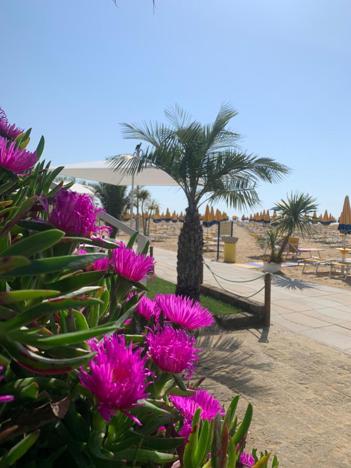 Hotel Nizza Frontemare Superior 3 Stelle photo 3