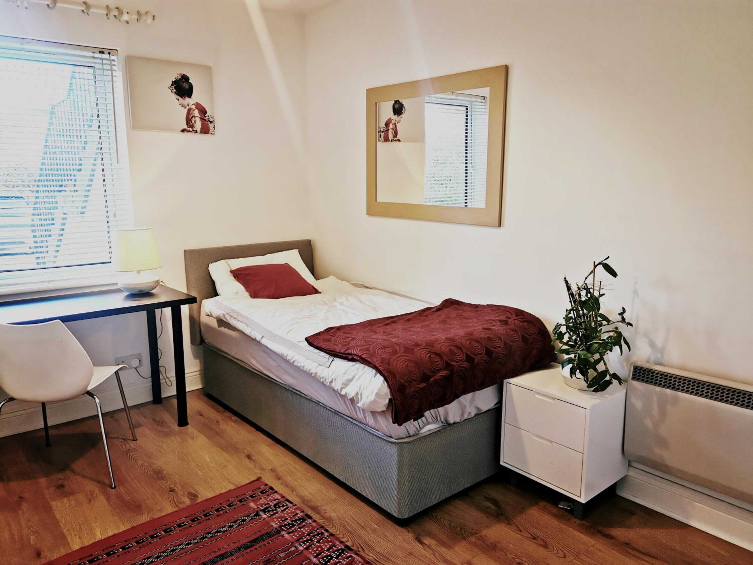 Single room in a charming apartment with the terrace in Sandymount