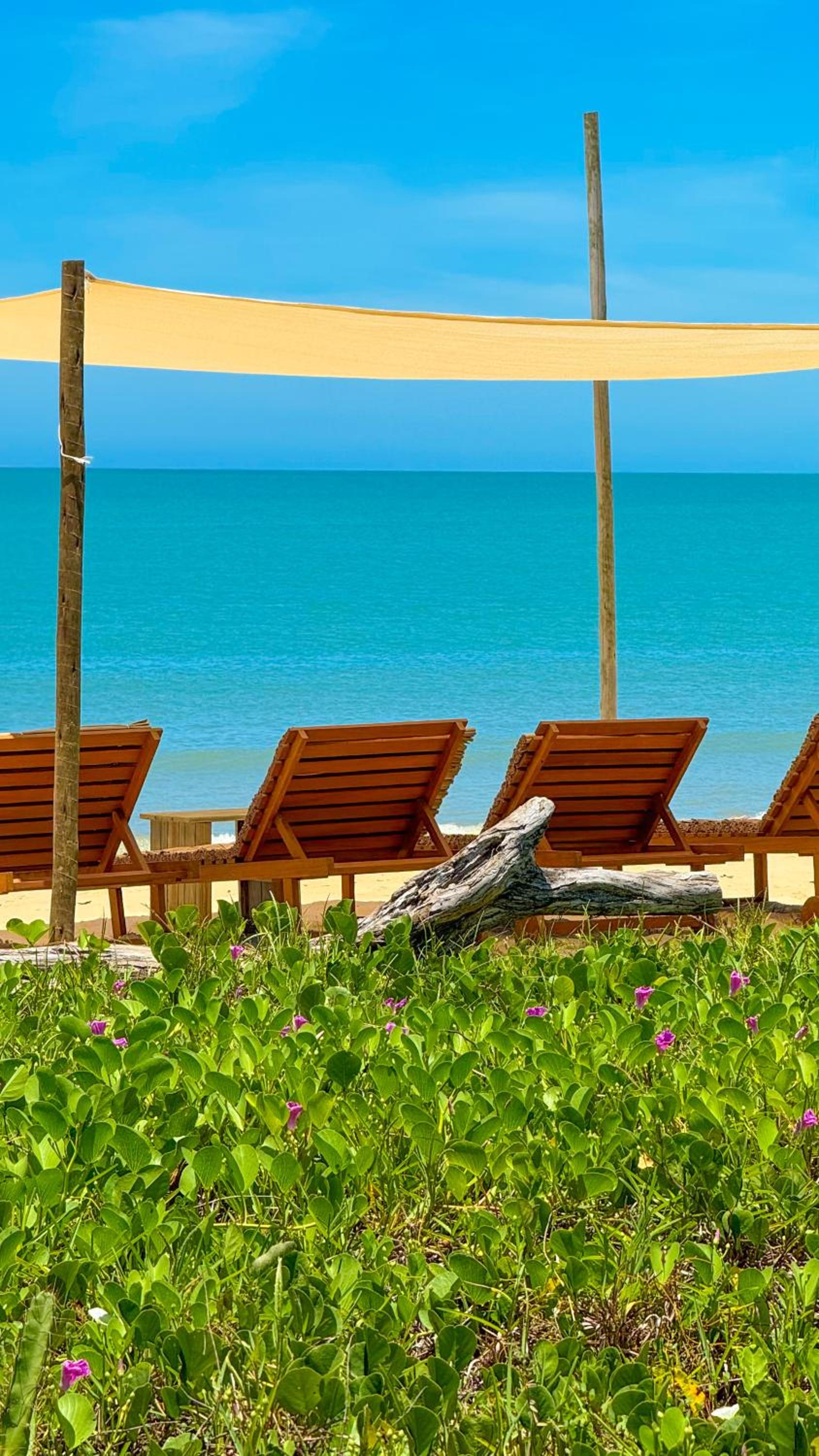 Tutti al Mare
