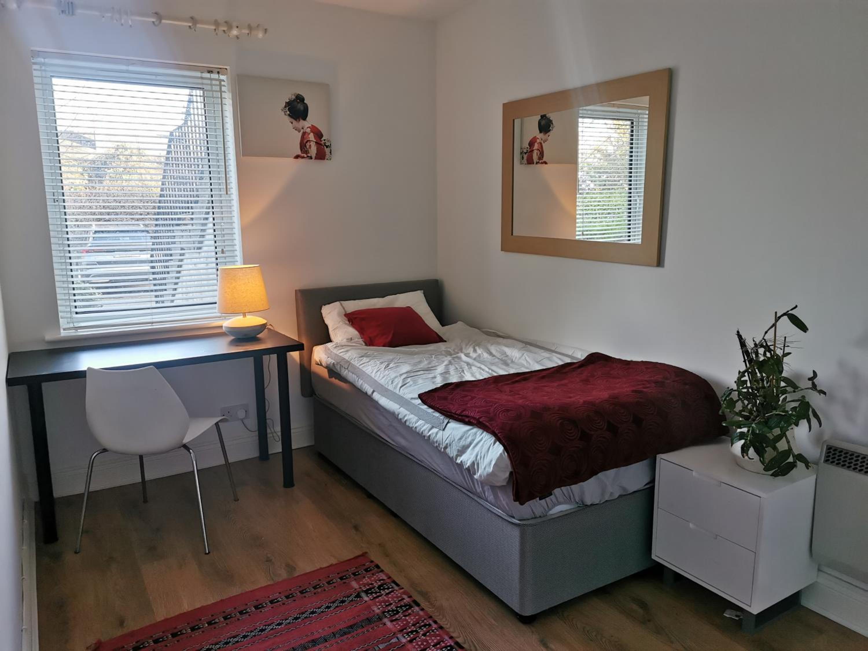 Single room in a charming apartment with the terrace in Sandymount