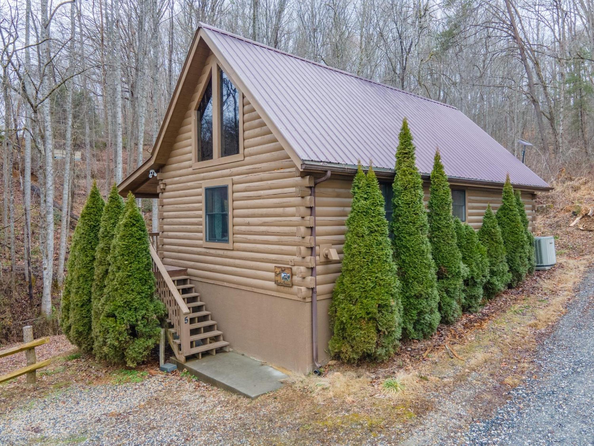 Cozy Cabin Retreat: Tiny Trotter