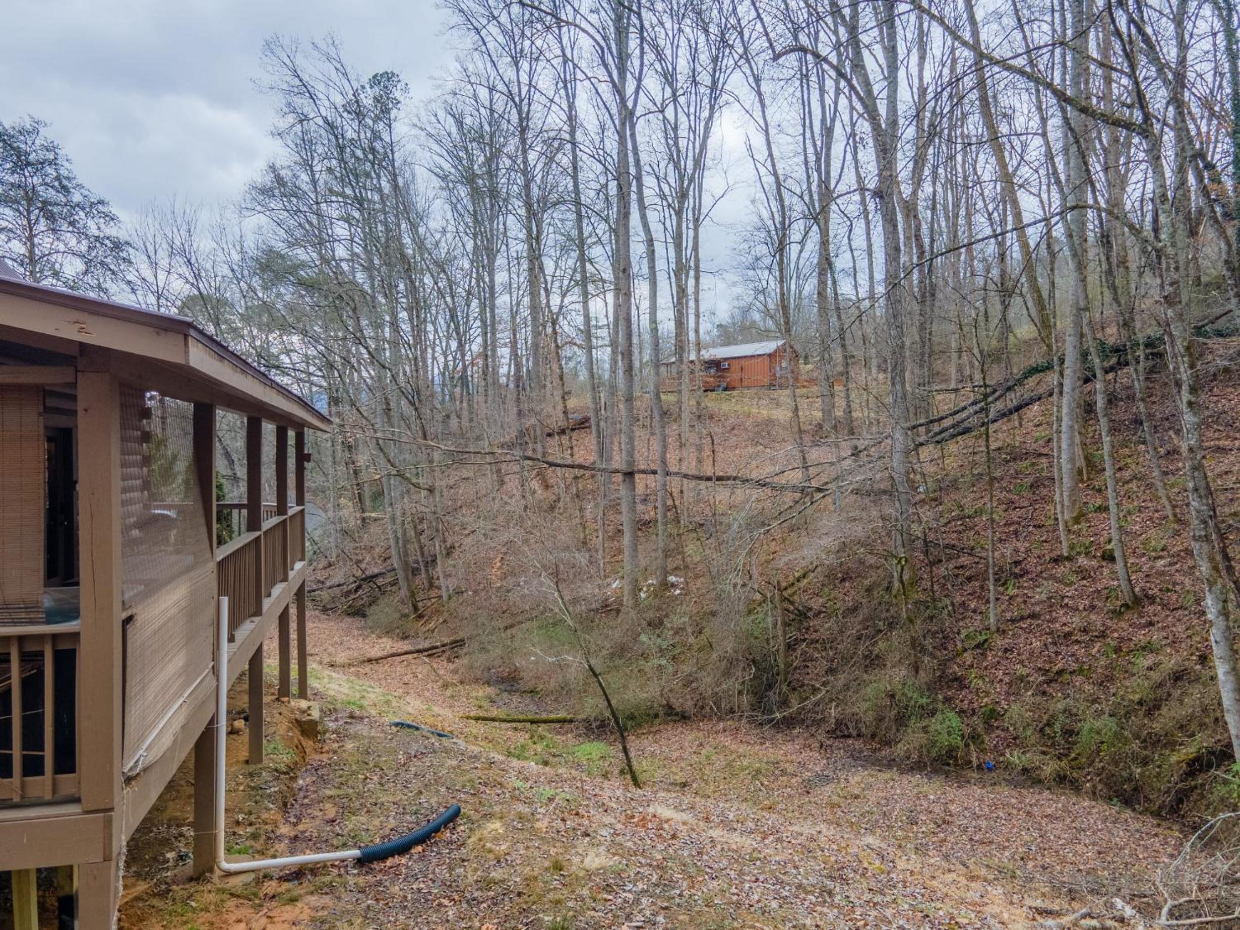 Cozy Cabin Retreat: Tiny Trotter