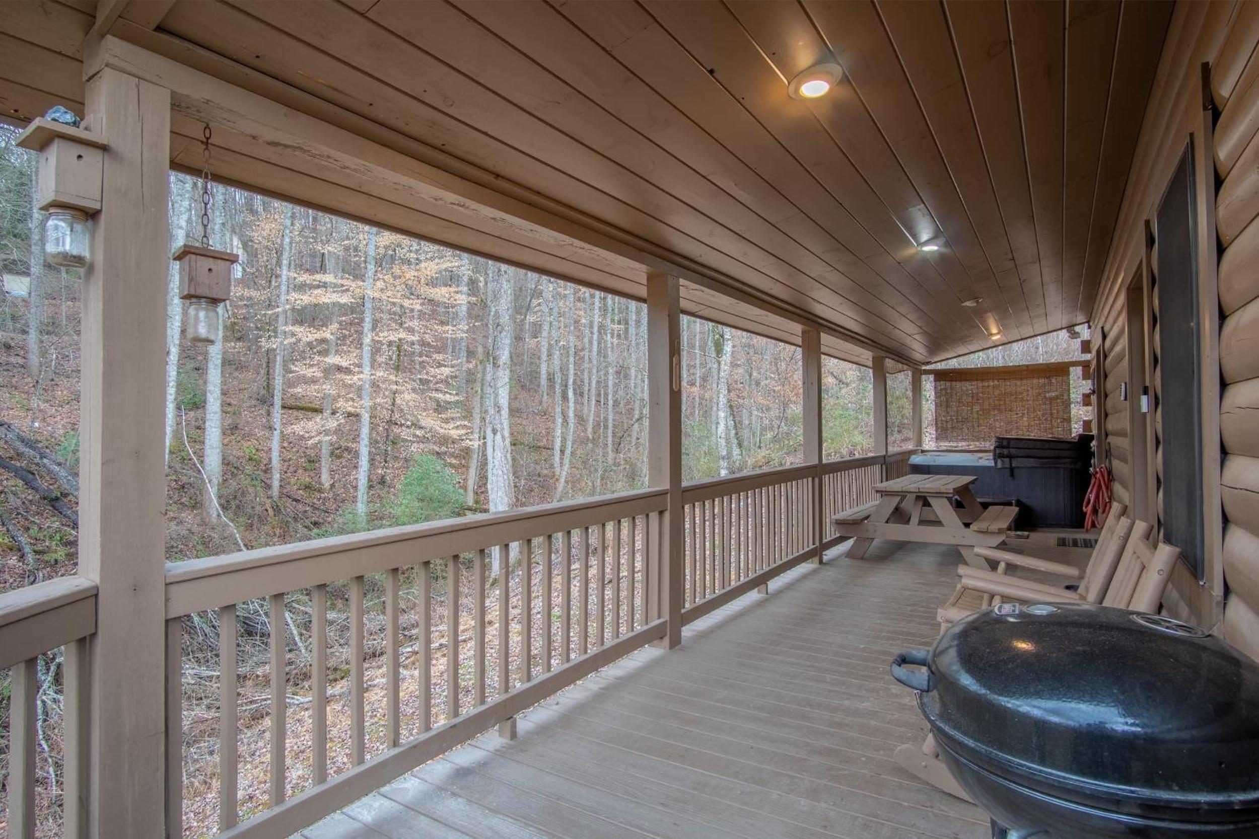 Cozy Cabin Retreat: Tiny Trotter