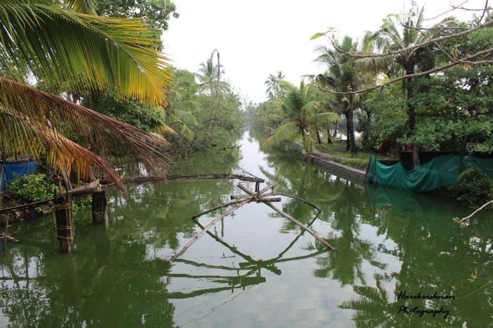 Marari stella vich villa Homestay view 5