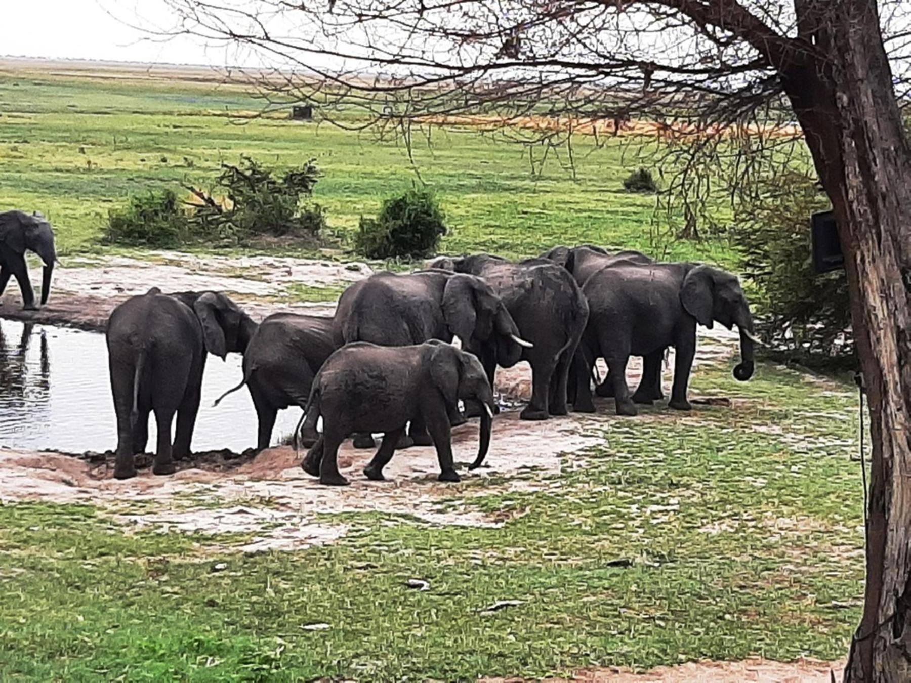 Mwandi View