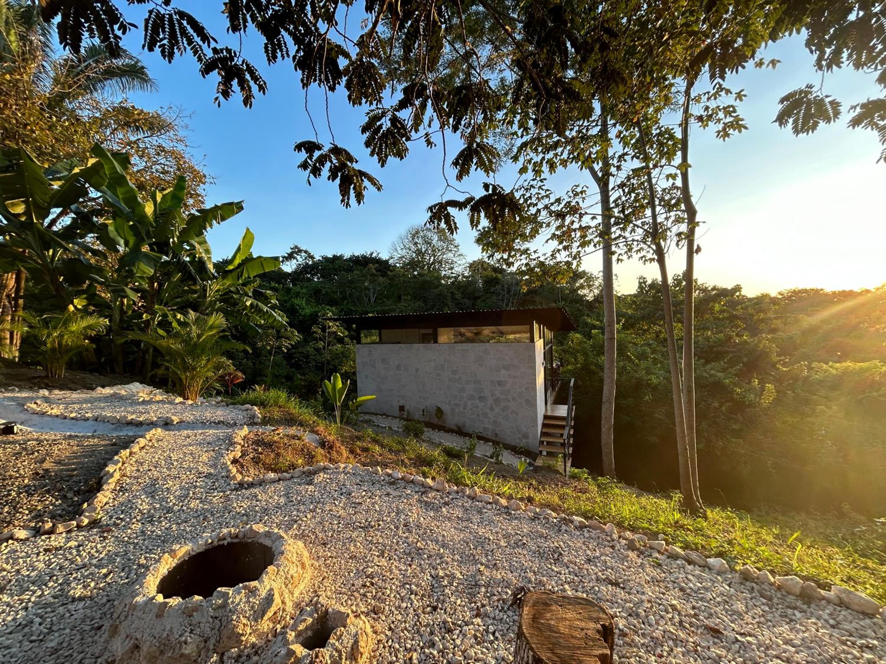 Modern House with Jungle Sunset View