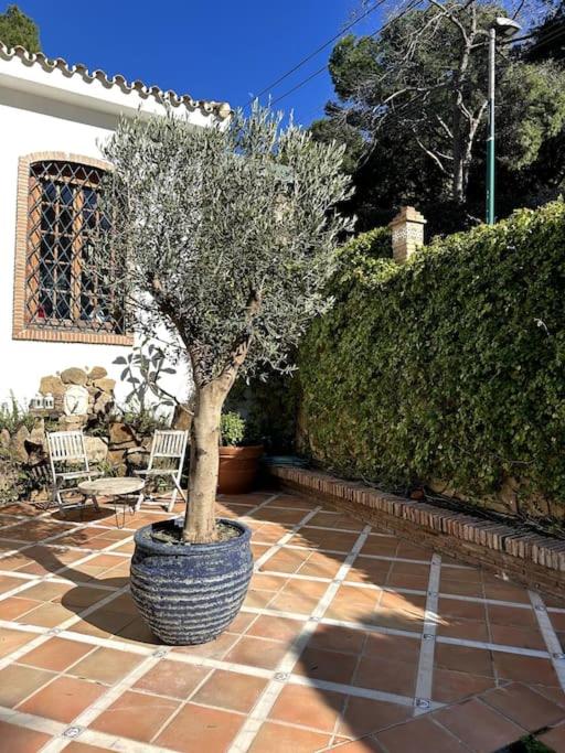 Villa privada con piscina en Málaga