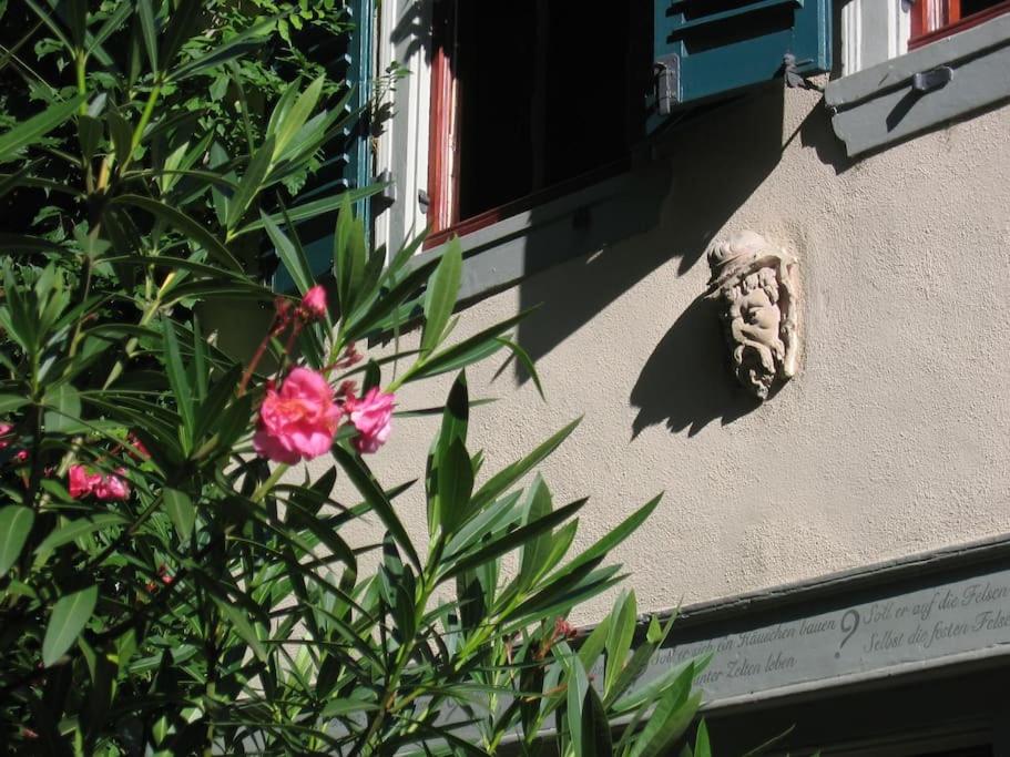 Historic Skipper`s House in Old Town