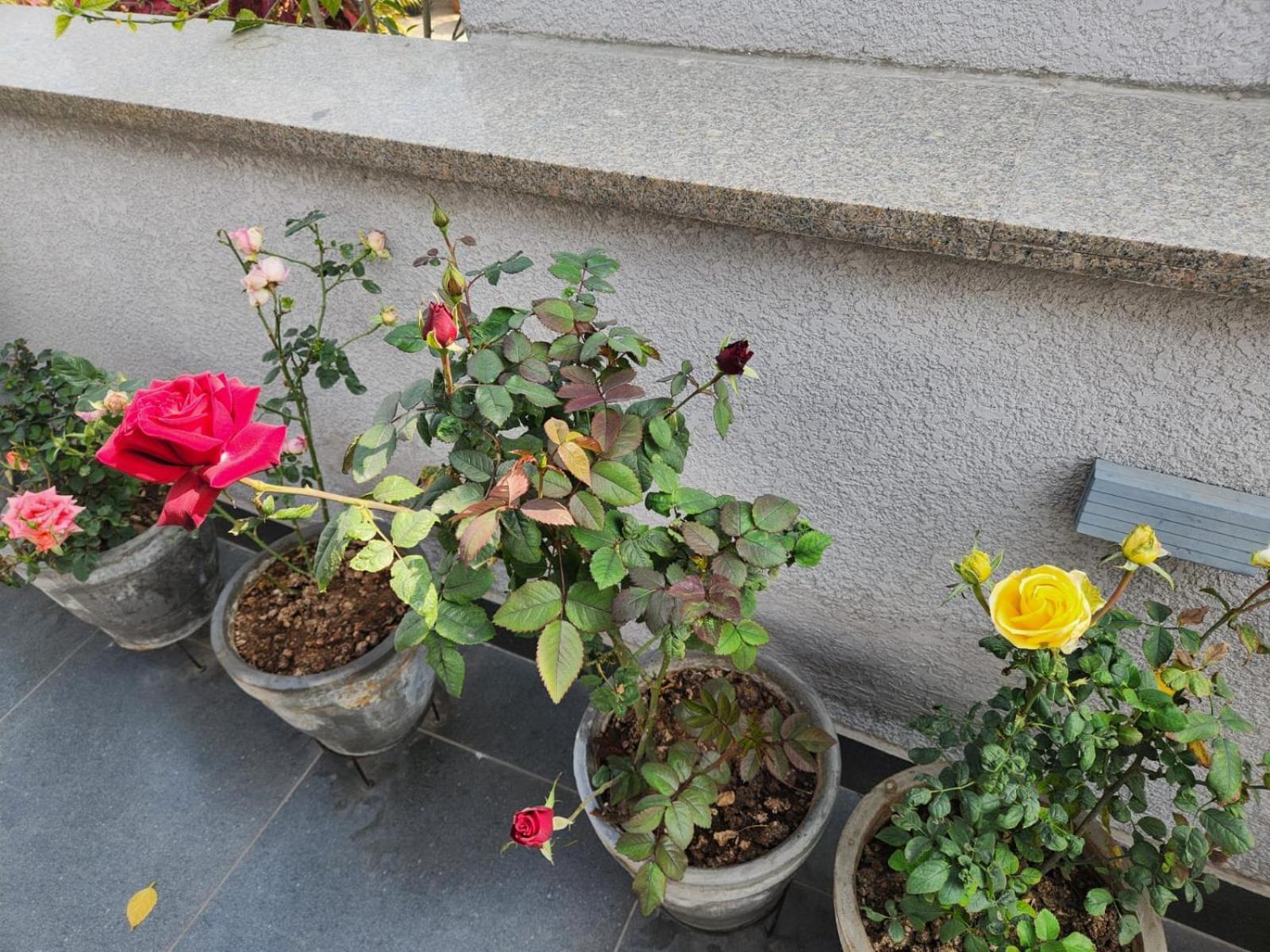 Photo 16