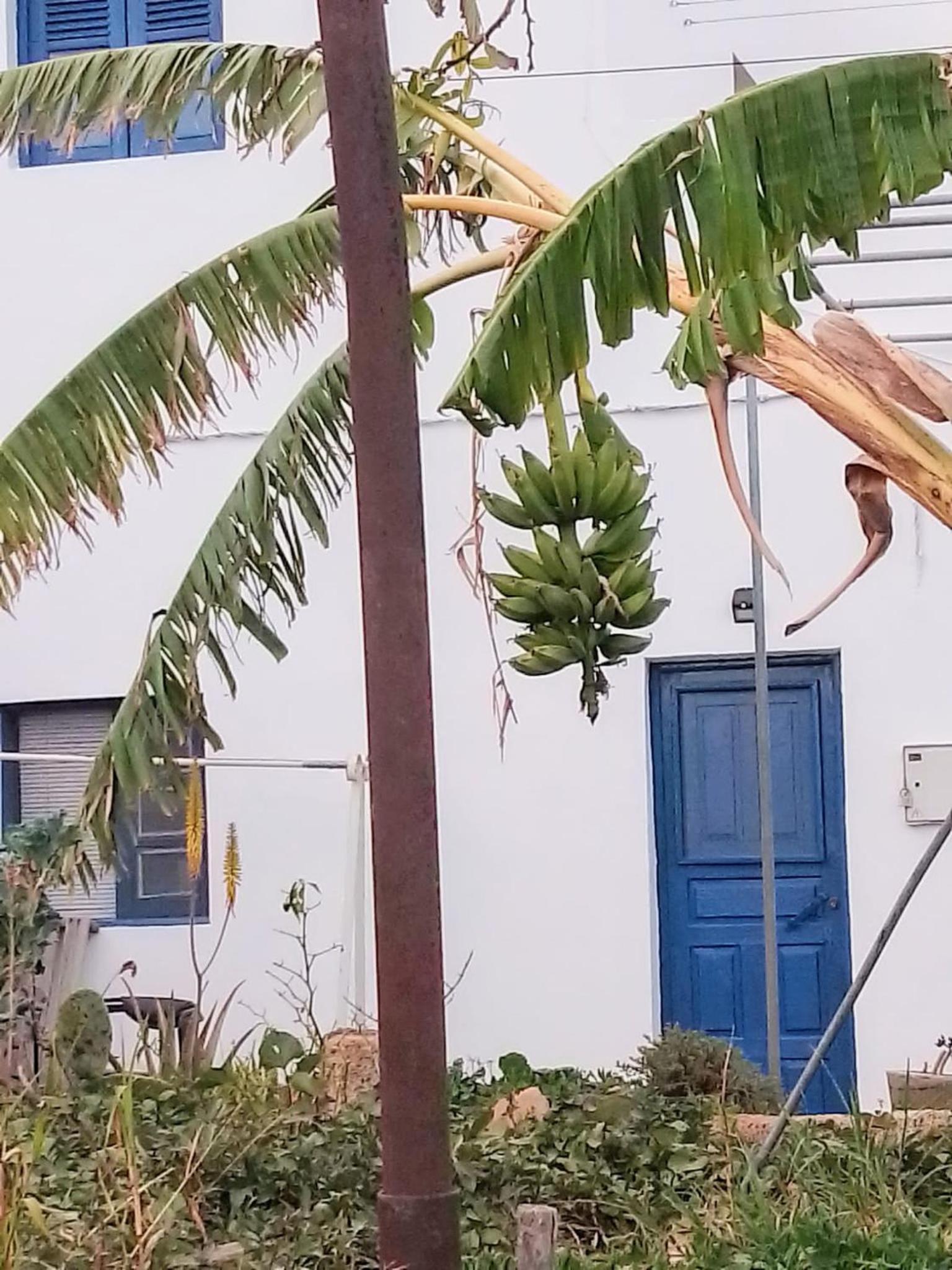 CASA RURAL MARY