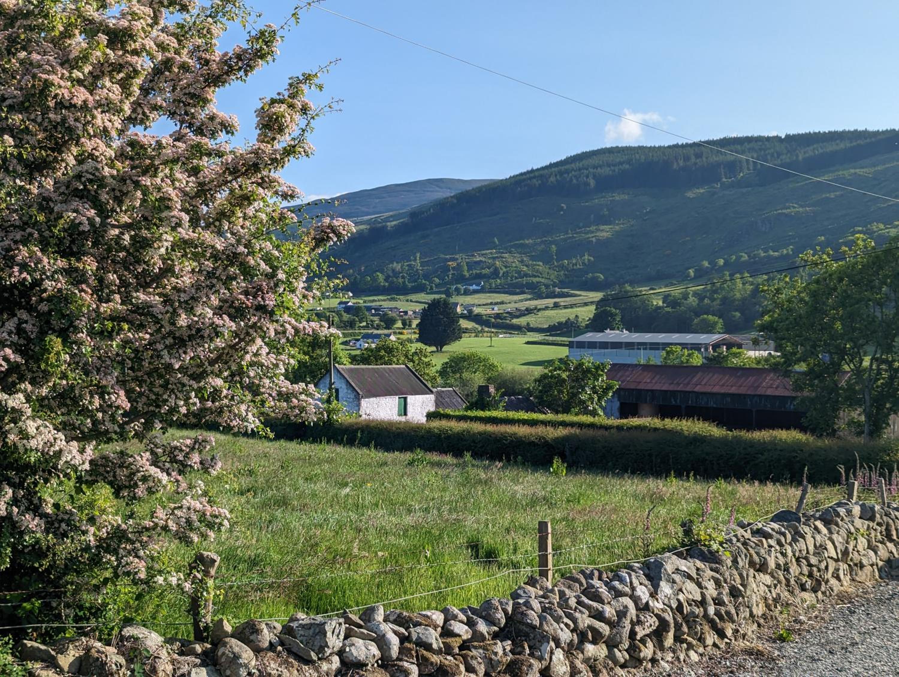 Killeavy Cottage