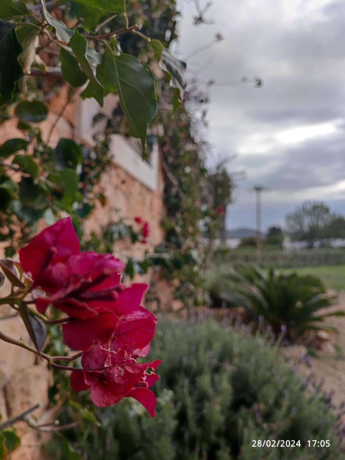 Casa Serena con piscina y jardín