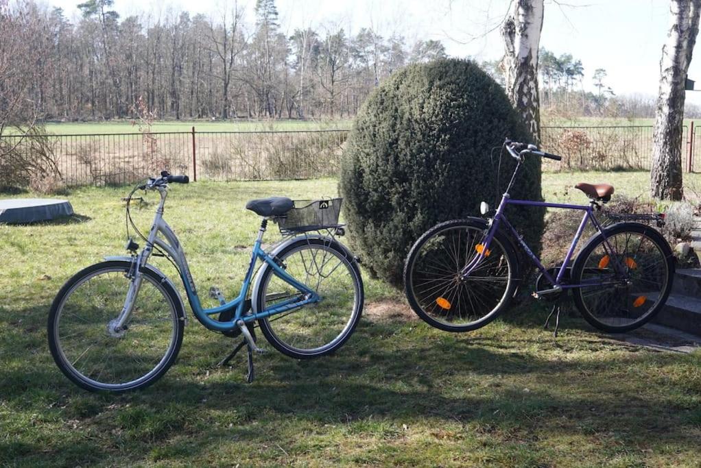 Flämingpanorama - Ländliches Gartenhaus mit Kamin und Naturpanorama