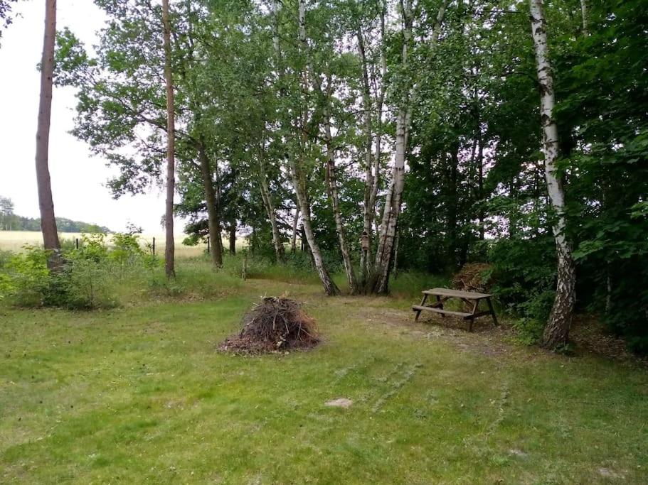 Flämingpanorama - Ländliches Gartenhaus mit Kamin und Naturpanorama