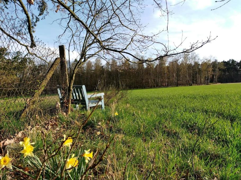 Flämingpanorama - Ländliches Gartenhaus mit Kamin und Naturpanorama