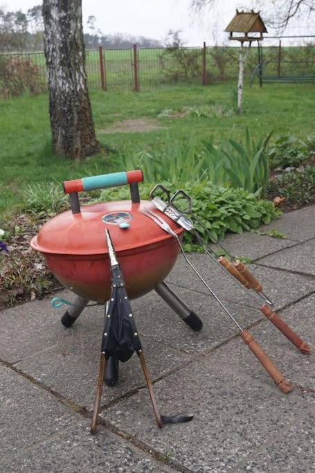 Flämingpanorama - Ländliches Gartenhaus mit Kamin und Naturpanorama