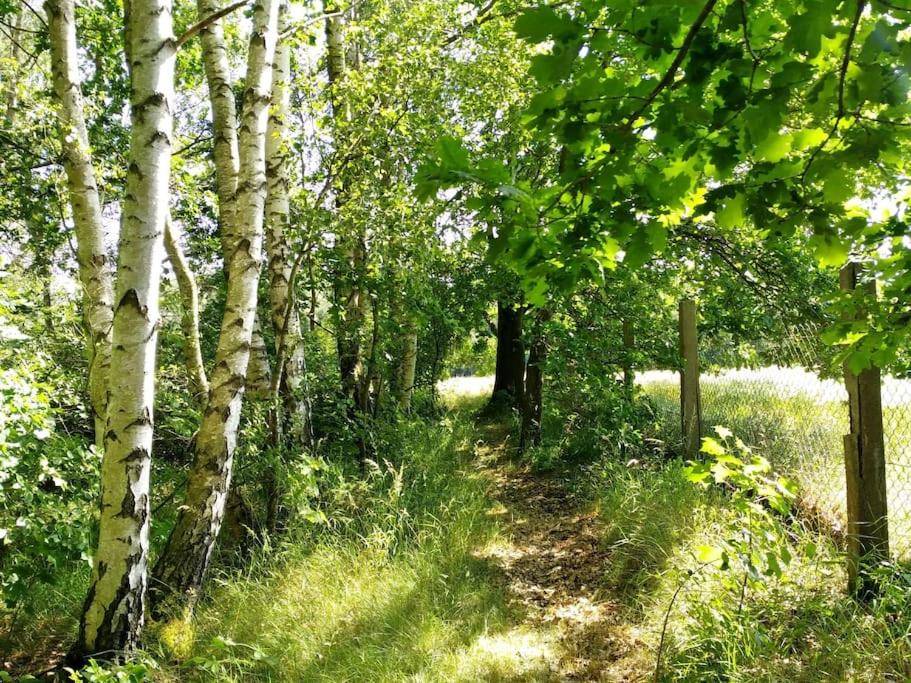 Flämingpanorama - Ländliches Gartenhaus mit Kamin und Naturpanorama