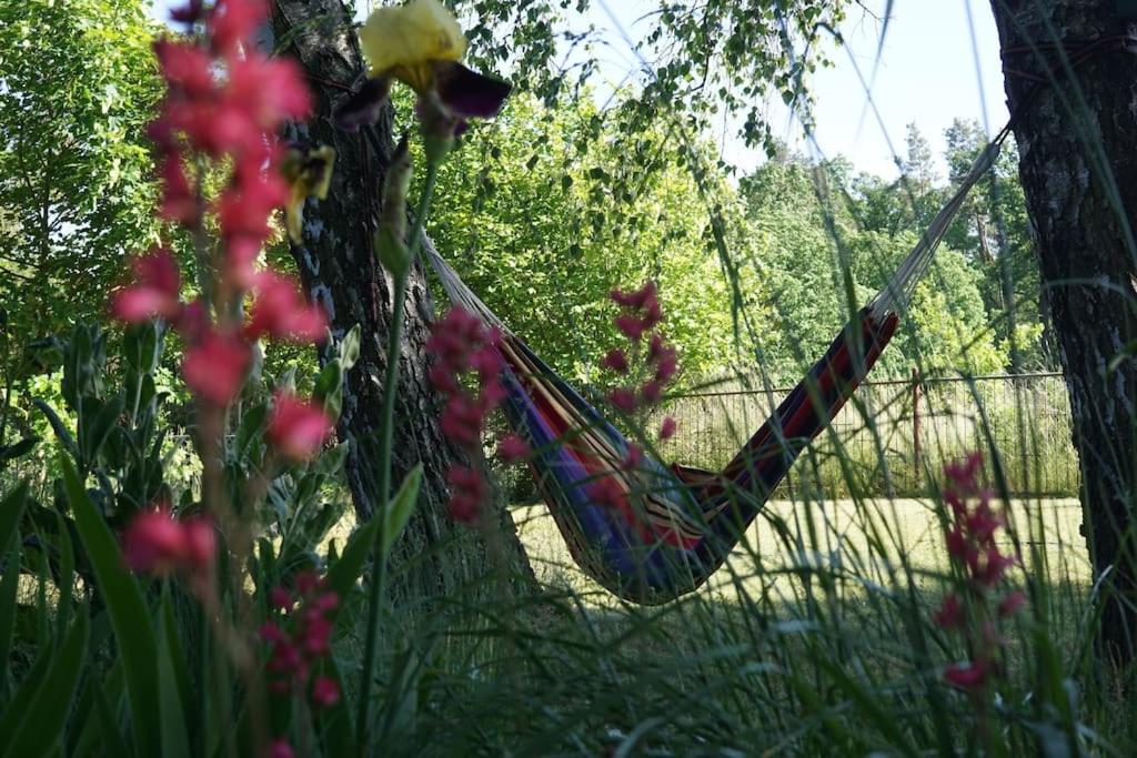 Flämingpanorama - Ländliches Gartenhaus mit Kamin und Naturpanorama
