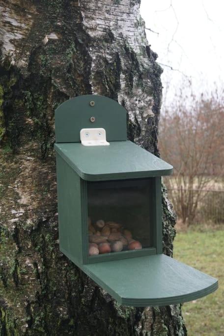 Flämingpanorama - Ländliches Gartenhaus mit Kamin und Naturpanorama