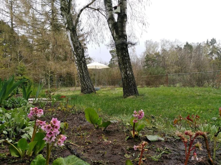 Flämingpanorama - Ländliches Gartenhaus mit Kamin und Naturpanorama