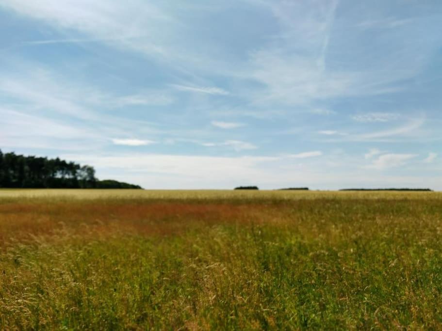 Flämingpanorama - Ländliches Gartenhaus mit Kamin und Naturpanorama