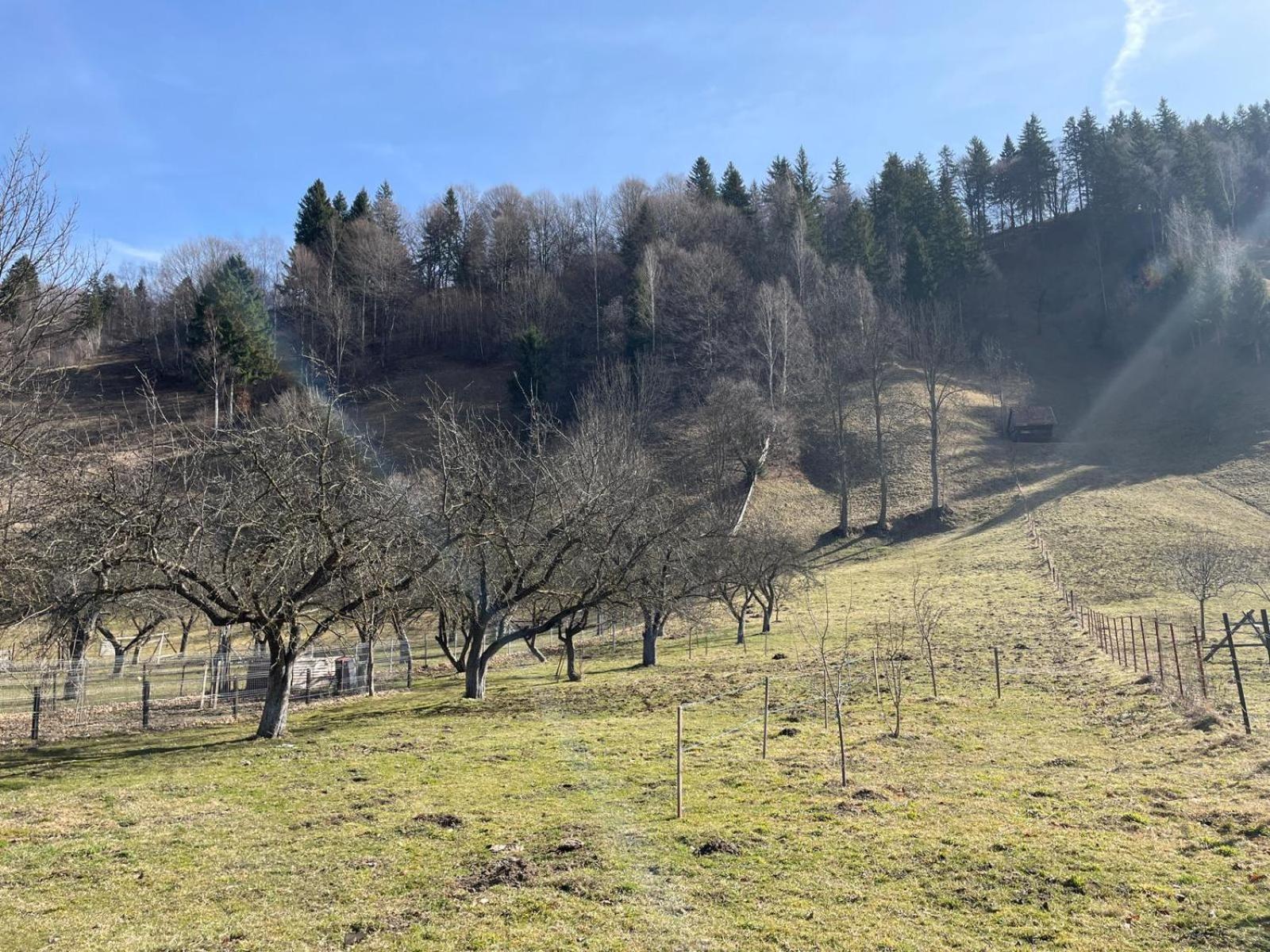 La Moieciu pe Deal view 3