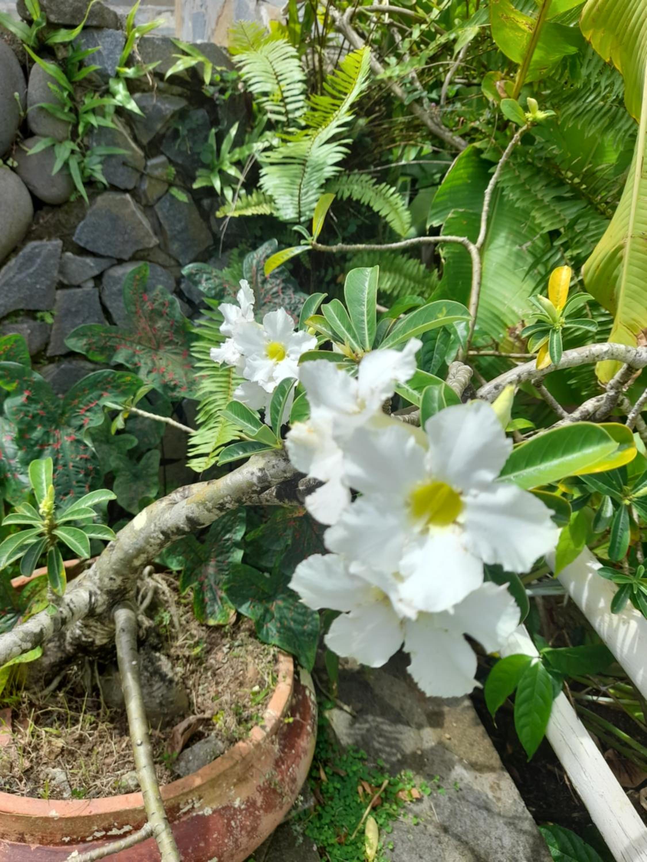 Photo 19