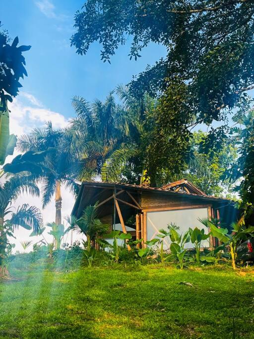 BooHouse - A Wild Cabin in Colombia