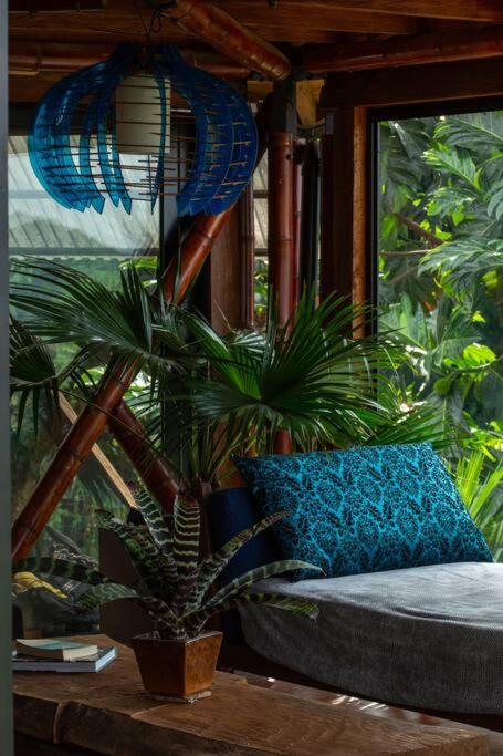BooHouse - A Wild Cabin in Colombia