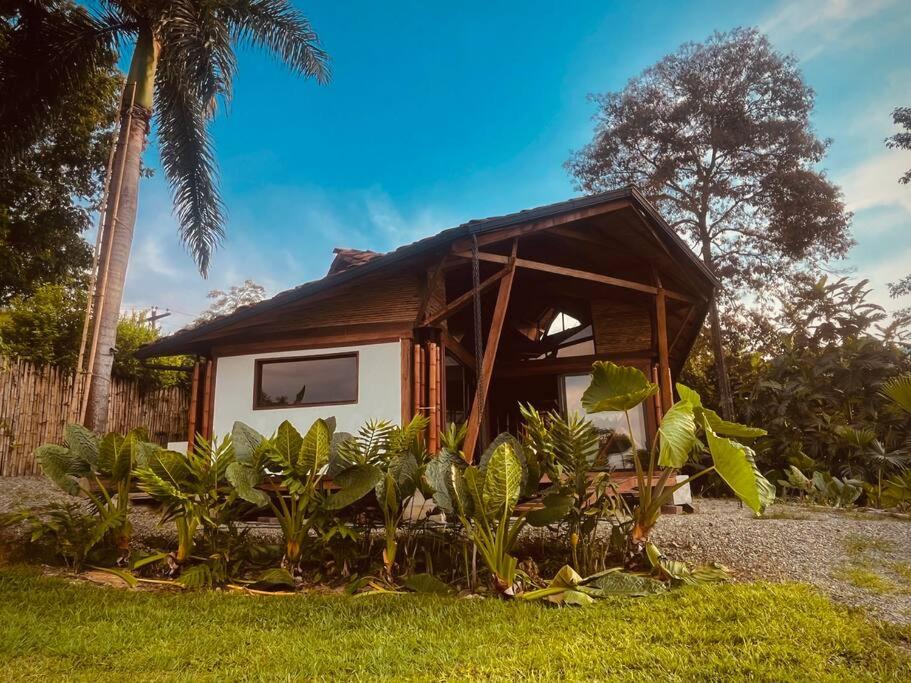 BooHouse - A Wild Cabin in Colombia