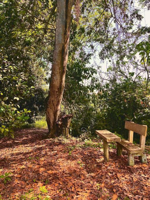 BooHouse - A Wild Cabin in Colombia