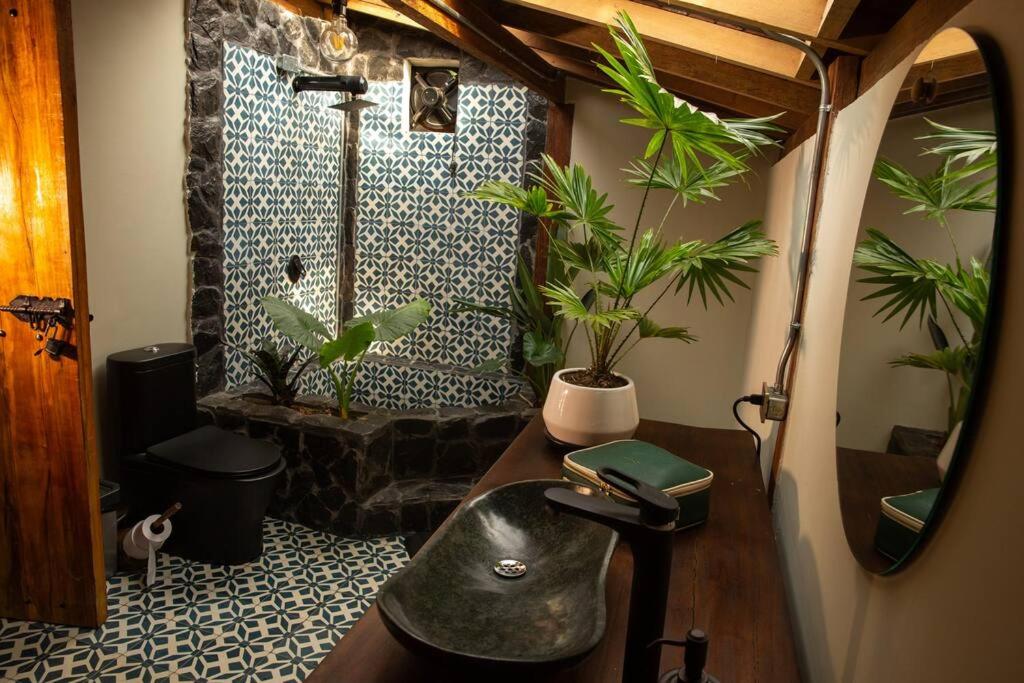 BooHouse - A Wild Cabin in Colombia