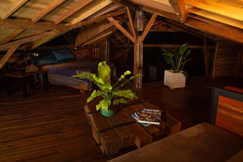 BooHouse - A Wild Cabin in Colombia