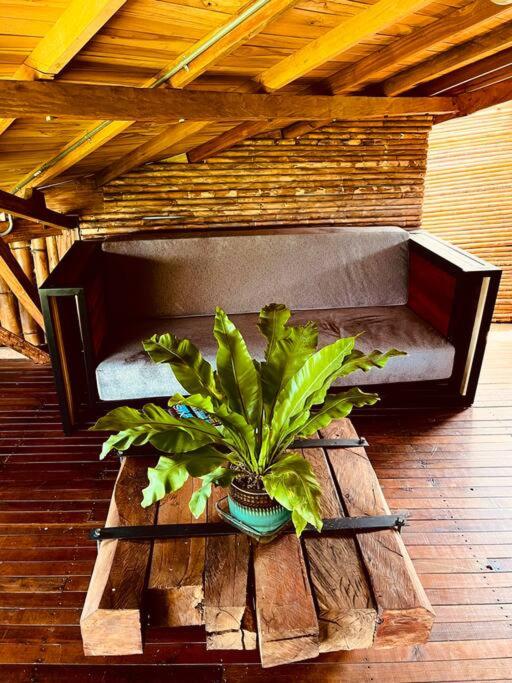 BooHouse - A Wild Cabin in Colombia