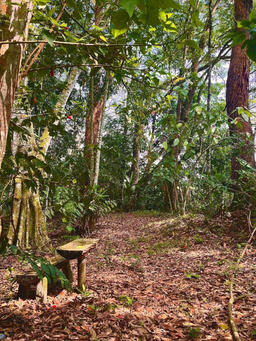 BooHouse - A Wild Cabin in Colombia